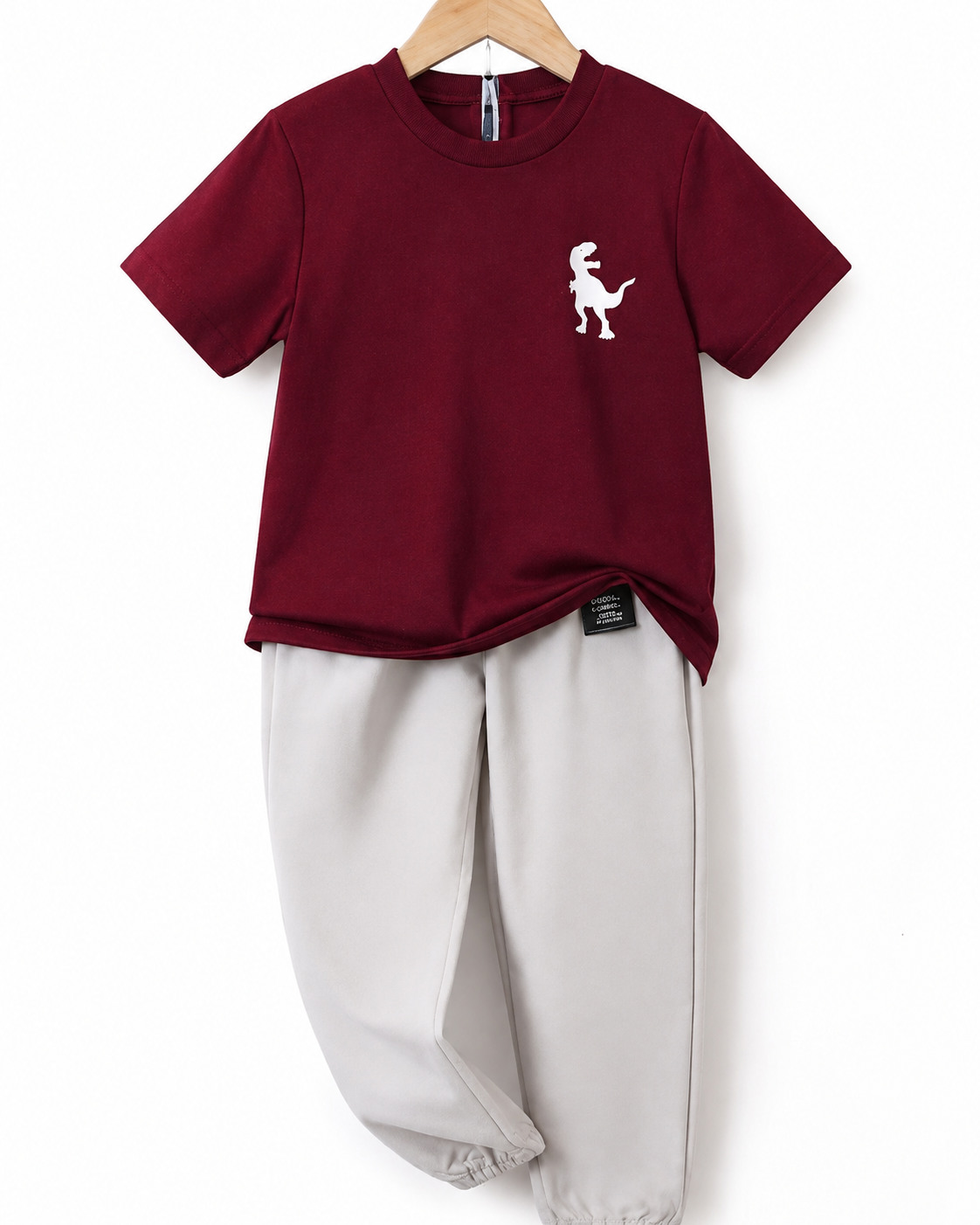 Boys Minimalist Dinosaur Graphic T-Shirt and Trousers Set